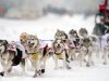 Aliy Zirkle, of Two Rivers, Ak.,  drives her dogs during the ceremonial start of the Iditarod Trail Sled Dog Race, Saturday, March 3, 2012 in Archorage, Alaska. (AP Photo/Anchorage Daily News, Bob Hallinen)