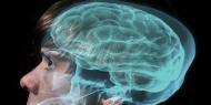 Ilmuwan Temukan Zat Kimia Otak Penyebab Gay