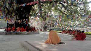 Monks chant under the Bodhi tree, adjacent to the Maya&nbsp;&hellip;