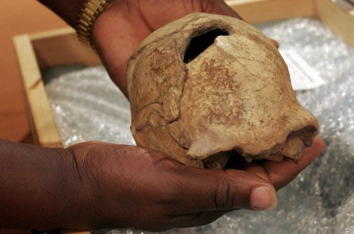 Un paleontólogo del Museo Nacional de Kenia muestra la calavera de un 'homo erectus' en 2007.