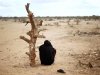 A pregnant Somali woman sits by a tree trunk  at UNHCR's Ifo Extension camp outside  Dadaab, eastern Kenya, 100 kms (60 miles) from the Somali border, Tuesday Aug. 9, 2011. U.S. President Barack Obama has approved $105 million for humanitarian efforts in the Horn of Africa to combat worsening drought and famine. The drought and famine in the horn of Africa has  killed more than 29,000 children under the age of 5 in the last 90 days in southern Somalia alone, according to U.S. estimates. The U.N. says 640,000 Somali children are acutely malnourished, suggesting the death toll of small children will rise. (AP Photo/Jerome Delay)