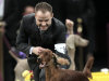 Adam Bernardin reacts as Shadagee Caught Red Handed, an Irish setter, is declared the Best of Sporting Group at the 136th annual Westminster Kennel Club dog show in New York, Tuesday, Feb. 14, 2012.  (AP Photo/Seth Wenig)