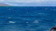 美國研究指出，海洋吸附二氧化碳的量，幾乎是一個國家排放的量。（photo by Ed Suominen on Flickr- used under Creative Commons license）