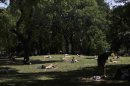 People sunbathe at Tompkins Square Park in New York
