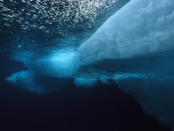 Arctic Ice Floe