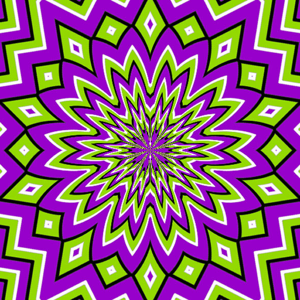 67-purple-nurple_011307.jpg