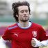Rosicky suffered an inflamed Achilles tendon in the first-half of the 2-1 group stage win over Greece