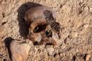 A mass grave containing the remains of members of the Yazidi community killed by Islamic State jihadists group was discovered near the Iraqi village of Sinuni in 2015