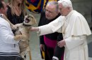 Pope Benedict XVI strokesa lion cub as he greets circus artists and workers, during an audience he held in the Pope Paul VI hall, at the Vatican, Saturday, Dec. 1, 2012. Benedict clapped and watched amused as circus workers flipped, flopped, juggled and twisted before him in what the Vatican has called a historic audience to make street performers and other itinerant entertainers feel like they belong to the church. (AP Photo/Andrew Medichini)