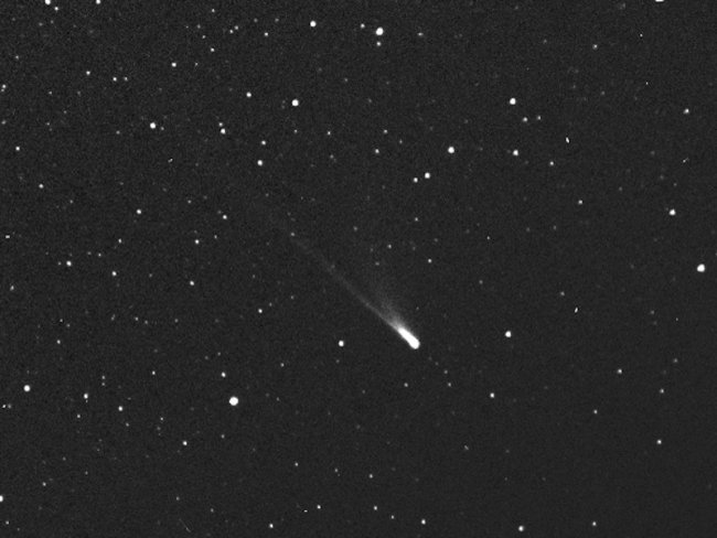 comet 67P/Machholz