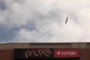 A bird flies above the corporate headquarters of Zynga Inc, the social network game development company