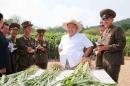 North Korean leader Kim gives field guidance to Farm No. 1116 under the KPA Unit 810 in this undated photo released by North Korea's KCNA in Pyongyang