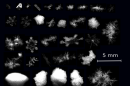 Cameras Capture Falling Snowflakes in 3D