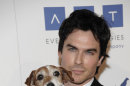 Actor Ian Somerhalder arrives at The 26th Annual Genesis Awards benefiting The Humane Society in Beverly Hills, Calif. on Saturday, March 24, 2012. (AP Photo/Dan Steinberg)