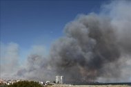 Fotografía de archivo, fechada el 19 de junio de 2012, de un incendio forestal en Torreguadiaro, en la localidad gaditana de San Roque. EFE/Archivo