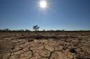 The sun scorches an already cracked earth on a farm in the Australian agricultural town of Walgett, on February 11, 2015, during a drought