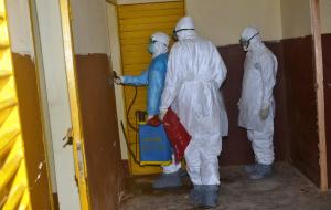 Health workers disinfect the walls at the Pita hospital &hellip;
