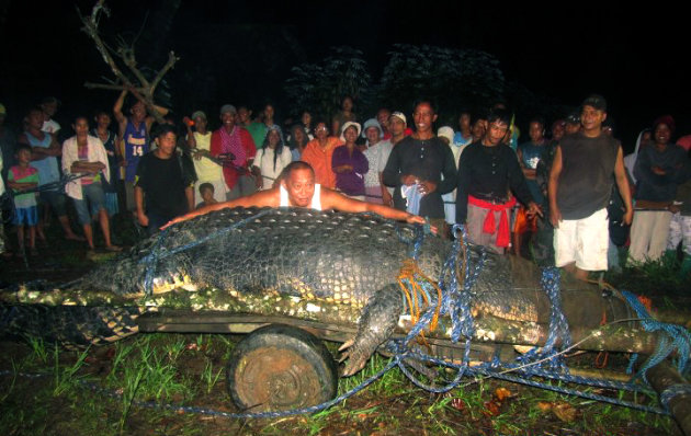 FILE-In this Sept. 4, 2011 file photo, residents watch as Mayor Cox Elorde of Bunawan township, Agusan del Sur province, pretends to measure a huge crocodile, later named "Lolong," after its capture by residents and staff of a crocodile farm along a creek in Bunawan in southern Philippines. The saltwater male crocodile, measuring 20.24 feet (6.17 meters) and proclaimed by Guinness World Records as the world's largest saltwater crocodile in captivity, died Sunday, Feb. 10, 2013. (AP Photo/File)