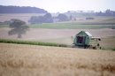 Climate-driven heat peaks may shrink wheat crops