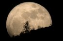 'Supermoon' Alert: Biggest Full Moon of 2012 Occurs This Week