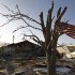 A U.S. flag blows in the wind as it hangs from a tree  overlooking the damage caused by a tornado in Harrisburg