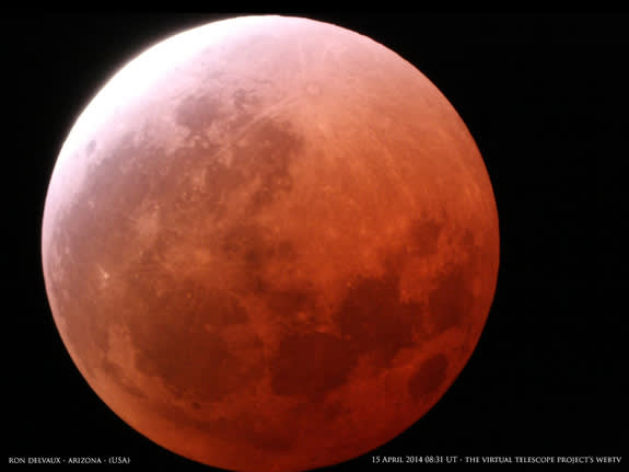 Total Lunar Eclipse On Wednesday Will Be a Rare 'Selenelion'