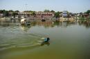 A youth swims in the polluted waters of the river Ganges at Sarsaiya Ghat in Kanpur on June 26, 2014