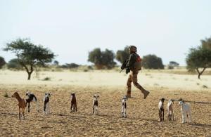 A French soldier patrols in the desert as part of the&nbsp;&hellip;