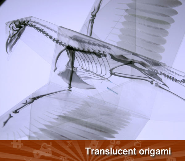 Translucent origami