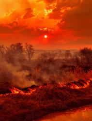 澳洲森林大火。澳洲氣象局指出，受到暖化影響，澳洲極端酷熱日子將越來越多。（photo by Opticoverload on Flickr- used under Creative Commons license）