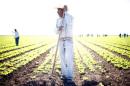 Workers labor at a romaine lettuce farm outside San Luis, Arizona