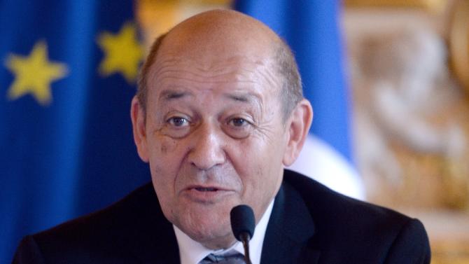 French Defence Minister Jean-Yves Le Drian speaks during a press conference in Paris on June 25, 2015