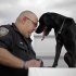 In this photo taken Tuesday, March 13, 2012, Southeastern Pennsylvania Transportation Authority K-9 handler Matthew Arlen is photographed with his partner HHynes, an explosives detection dog, in Philadelphia. Because HHynes was trained with federal money, Arlen was barred from a local school board race in Pennsylvania, blindsided by the 1939 Hatch Act. “I was a little taken aback,” said Arlen, age 45, and a policeman for 22 years. “I was trying to make a difference for my kids and kids of the school district.” (AP Photo/Matt Rourke)