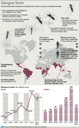 Graphic fact file on dengue fever, including a focus …