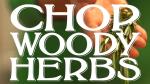 How to Chop Woody Herbs