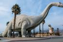 The Brontosaurus Would Like to Know: What Is a Species, Really?