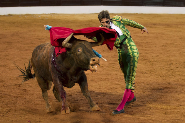 Bullfighter returns