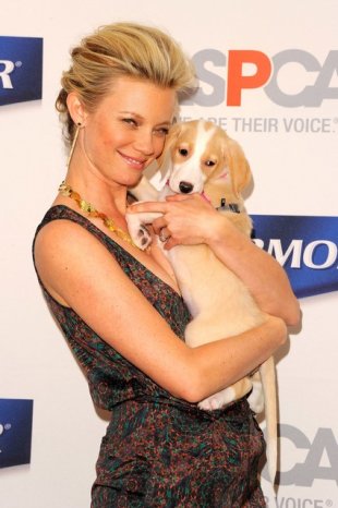 amy smart and puppy Pet lovers none of you would ever let your precious 