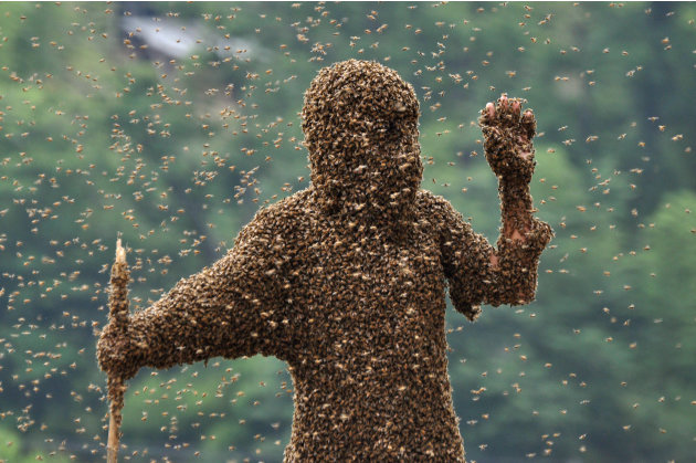 &#39;Bee Bearding&#39; Contest In Hunan