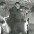 Cops to Be Tried in Alleged Fatal Beating of Homeless Man Caught on Video