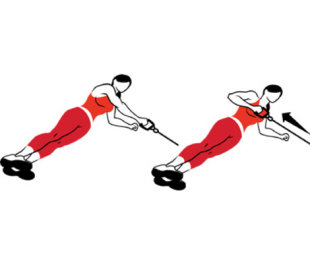 Side Plank and Row