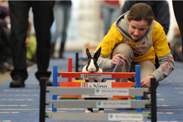 First European Rabbit Hopping Championships