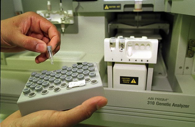 DNA samples from criminal cases to be re-tested after HSA mistake ...