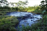 Por la rotura del SOTE, Petroecuador ha decidido transportar parte del crudo que se produce en los campos de extracción en la Amazonía por el Oleoducto de Crudos Pesados (OCP), de propiedad de compañías privadas. EFE/Archivo