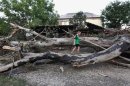 A boy walks on an uprooted tree in a street, hit by floods, in the town of Krymsk