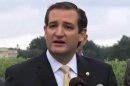 Ted Cruz Touts Anti-everything Approach