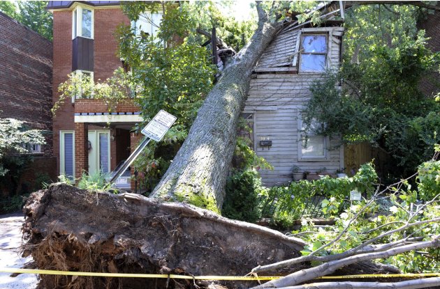 A downed tree crushes an old home on Dent Street in the Georgetown section of  Washington, Sunday, Aug. 28, 2011, brought down by rain and wind from Hurricane Irene.  (AP Photo/Cliff Owen)