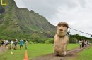 Easter Island Walk
