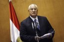 Adli Mansour, Egypt's chief justice and head of the Supreme Constitutional Court, speaks at his swearing in ceremony as interim president in Cairo