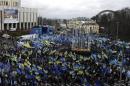 Supporters of Ukrainian President Yanukovich and the Party of the Regions participate in a demonstration in central Kiev